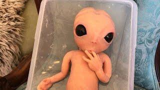 Reborn and Silicone Dolls by Nadine - Full body silicone custom baby Alien 12
