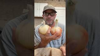  Storing Onions for Winter #onion #garden