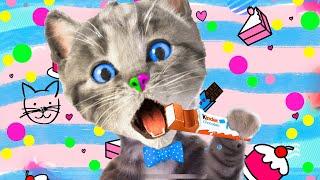 LITTLE KITTEN ADVENTURE - CAT ADVENTURE JOURNEY AND CUTE STORY - FUNNY TODDLER CARTOON