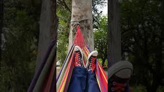 Swinging in a hammock