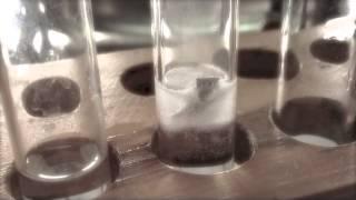 Magnesium ribbon and HCl experiment