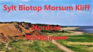 Auf Sylt - Um das farbenfrohe Biotop Morsum Kliff2021 4k