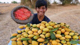 Wow Eat  Sour Marian Plum Fruit With Chili Salt And Pepper Very Delicious - Makbrang