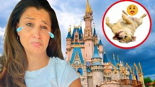 Our DOG ALMOST DIED while WE WERE AT DISNEY WORLD