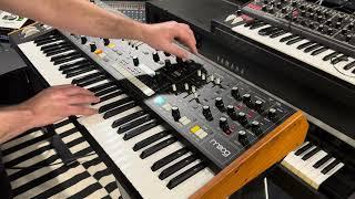 Exploring the Moog Muse