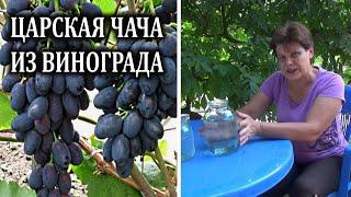 Царская чача из винограда  Как сделать чачу