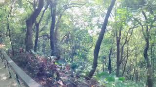 #taiwan forest sinematik vidio gopro hero 9