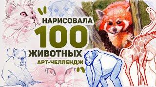 Рисую 100 ЖИВОТНЫХ за 3 ДНЯ  Арт Челлендж