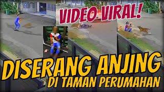 Viral Video Wanita Diserang & Digigit Anjing  Tangan Habis Luka Berdarah