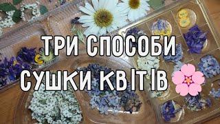 • Як сушити квіти • Три способи сушки квітів  • Обємна та плоска сушка під пресом • Сухоцвіти • 