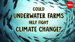 Underwater farms vs. climate change - Ayana Elizabeth Johnson and Megan Davis