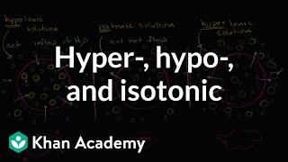 Hypotonic isotonic and hypertonic solutions tonicity  Khan Academy