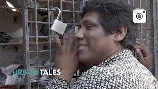 Robin the Pigeon Man - ep 1 Urban Tales Season Three REPLAY