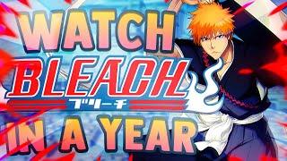 How to Watch Bleach and Skip Fillers in LESS THAN A YEAR