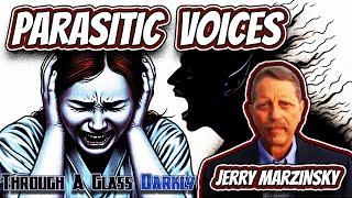 Schizophrenia and the Devils Playground with Jerry Marzinsky Episode 268