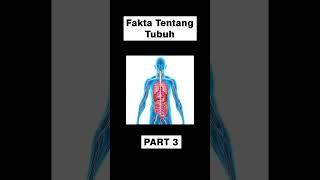 Fakta tentang tubuh part 3