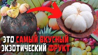 Топ 10 Вкусных Фруктов Которые Нужно Попробовать  Самые Вкусные Экзотических Фрукты в Мире