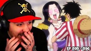 One Piece Episode 895 - 896 REACTION  BOA IS BACK?