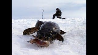 Зимняя Рыбалка.ПЕРВЫЙ ЛЁД