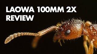 Laowa 100mm f2.8 2x Ultra Macro Lens Review