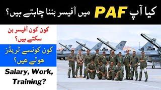 Secrets To Join PAF After FSC  How To Join PAF As A Fighter Pilot GDP Admin Air Defense