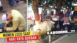 Ada Yang Dikejar Sapi.. Deretan Momen Lucu Saat Hari Raya Qurban