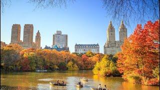 Natal Frio no Central Park e Quinta Avenida  Explorando NY