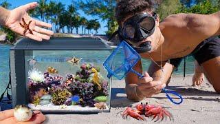 Catching SEA CREATURES For OUTDOOR AQUARIUM