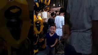 Kaget Ketemu Big Bumblebee  #dago #bandung #bumblebee #viral #fyp