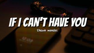 If I Cant Have You - Shawn Mendes  Easy Lyrics