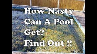 Nastiest Green Algae Swimming Pool Water EVER Cleared Up - Unbelievable Results
