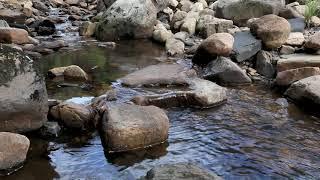 5min Relaxing Water Flowing Sound - River Nature Sounds Short Meditation WO Music - Running Stream