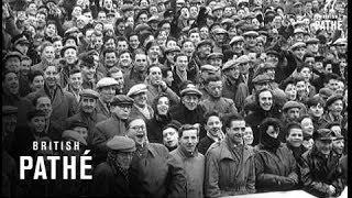 Special - Hampden Park - Scotland V. Hungary Aka Scotland V Hungary 1954