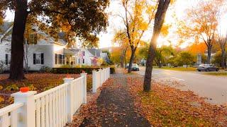 Autumn Sunrise Walk in Woodstock Vermont 4K  Binaural Audio Relax Quintessential New England