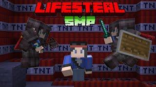 What To Do On a LIFESTEAL SMP