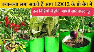 क्या-क्या लगा सकते हैं आप 12X12 के ग्रो बैग में  12X12 Inch Grow Bag Me Kya Kya Laga Sakte Hain