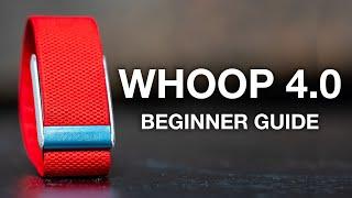 WHOOP 4.0 Ultimate Beginners Guide