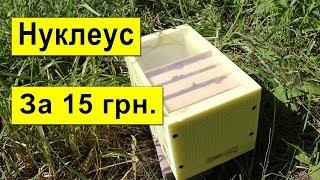 Как Сделать Нуклеус за 15 грн? Размеры микронуклеуса Нуклеус для облёта маток работает отлично