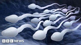 Male contraceptive pill a real possibility say scientists - BBC News