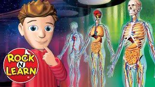 Human Body - Science for Kids - Rock N Learn