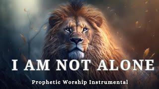 Prophetic Warfare Instrumental WorshipI AM NOT ALONEBackground Prayer Music