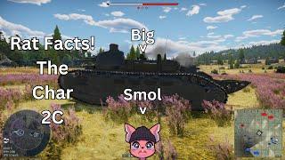 Big Boy Small Impact Rat Facts The Char 2 C