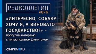 Если не беспокоиться о людях нельзя иметь собаку митрополит - о дворнягах и любимых волкодавах