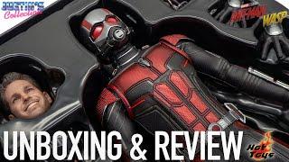 Hot Toys Ant-Man Avengers Endgame  Ant-Man and the Wasp Unboxing & Review