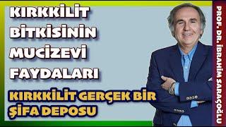 İNANILMAZ FAYDALARI İLE KIRKKİLİT BİTKİSİ #kırkkilit #atkuyruğu #ibrahimsaraçoğlu #