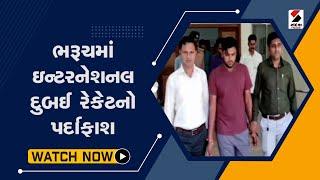 Bharuch માં International Dubai રેકેટનો પર્દાફાશ  Gujarati News  Gujarat News Today  Sandesh News