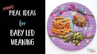 More Meal Ideas for Baby Led Weaning