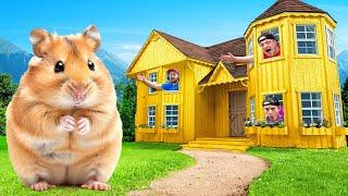 I Built A $100000 Golden Hamster House