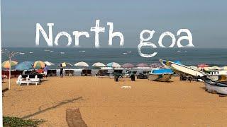 North goa  north goa night life  baga beach  candolim beach️
