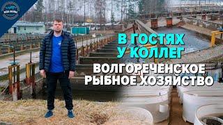 Волгореченское Рыбное хозяйство. В гостях у коллег